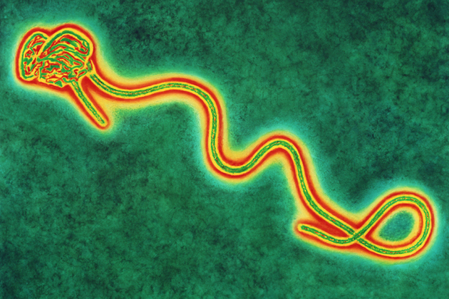 UK Ebola case: What does this mean for people in the UK? - Public health  matters