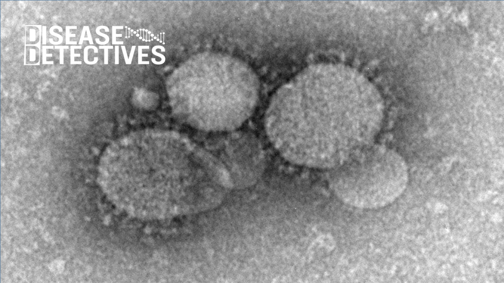 An image of MERS-CoV virus as seen under a microscope 