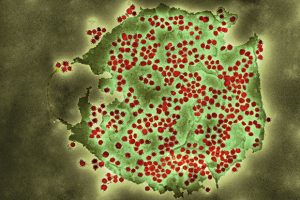 Coloured transmission electron micrograph (TEM) of a SARS-CoV-2 coronavirus particle isolated from a UK case of the disease Covid-19. 
