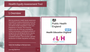 Screenshot of the Health Equity Assessment Tool
