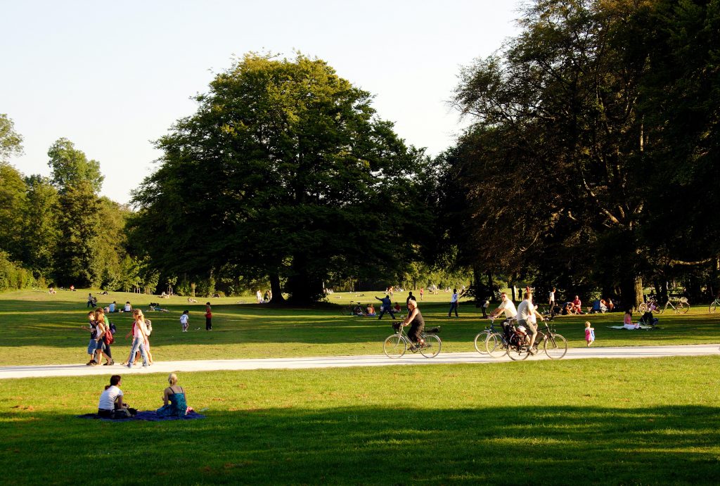 A park with grass, a path and trees. People are sitting on the grass and cycling on the path.